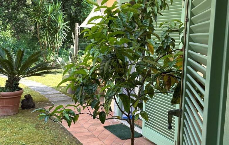 Villetta a schiera in vendita a Massa