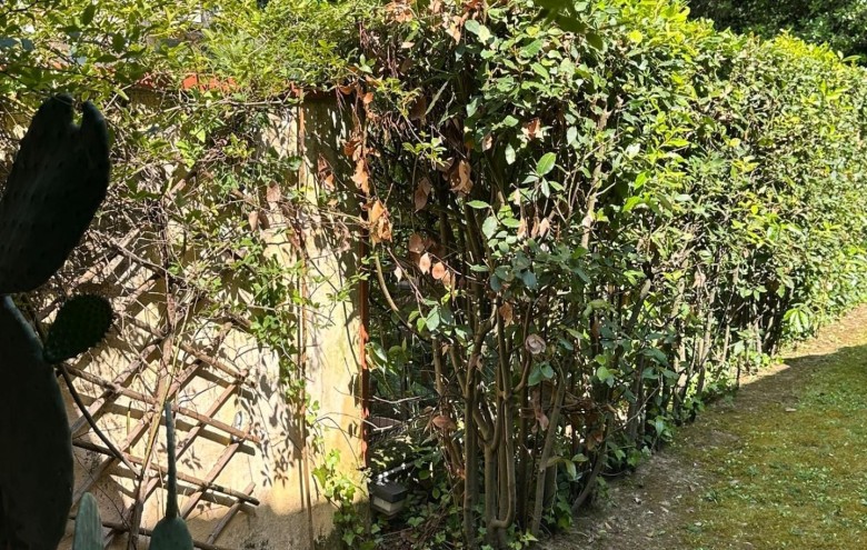 Villetta a schiera in vendita a Massa