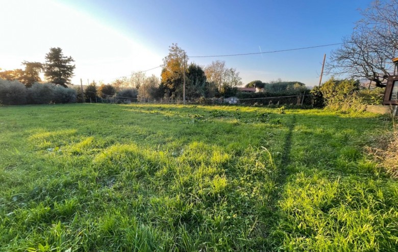 Villa singola in vendita a Pietrasanta