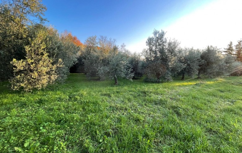 Villa singola in vendita a Pietrasanta