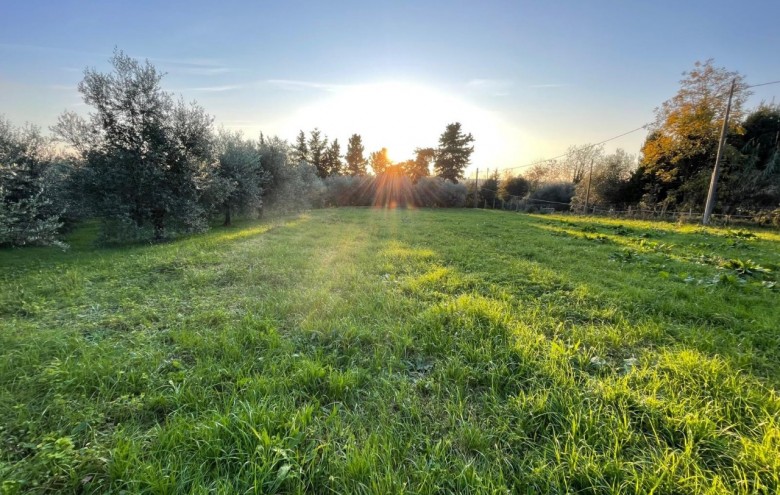 Villa singola in vendita a Pietrasanta