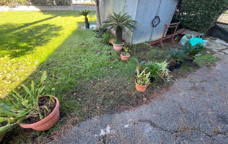 Villa singola in vendita a Massa