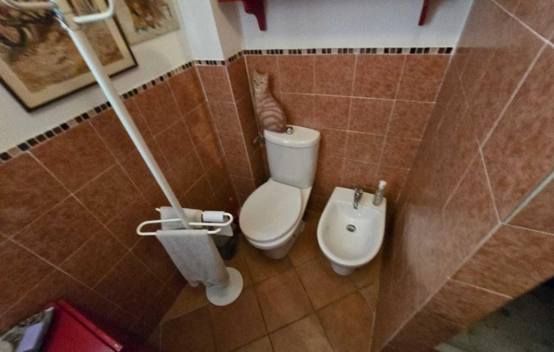 Villa singola in vendita a Massa