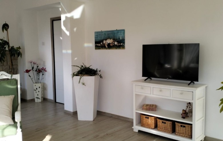 Villa singola in affitto a Pietrasanta