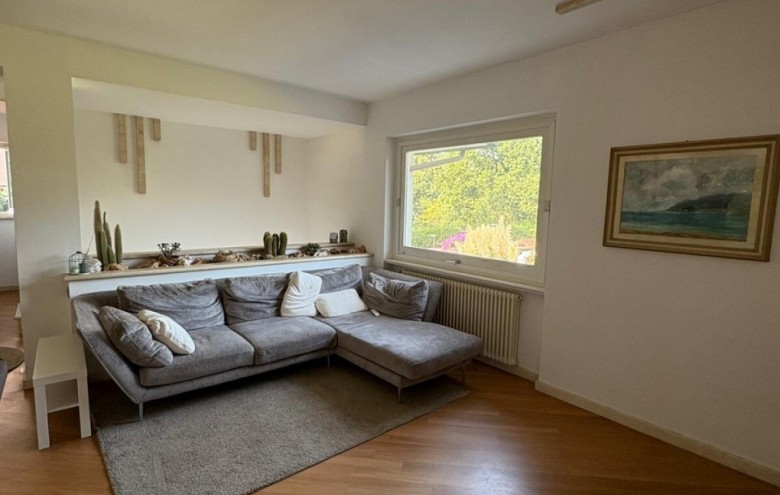 Villa singola in affitto a Pietrasanta