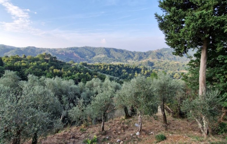 Villa singola in vendita a Camaiore