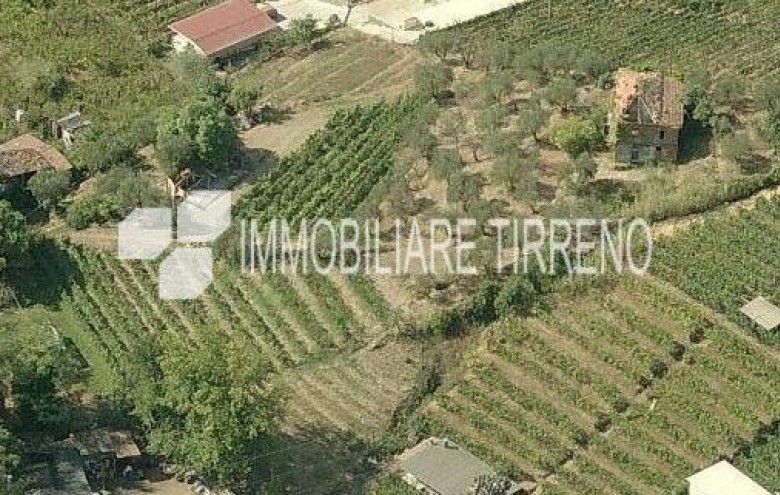 Terreno in vendita a Massa