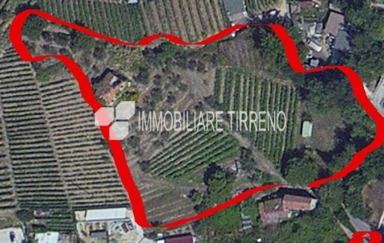 Terreno in vendita a Massa