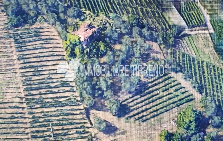 Terreno in vendita a Massa