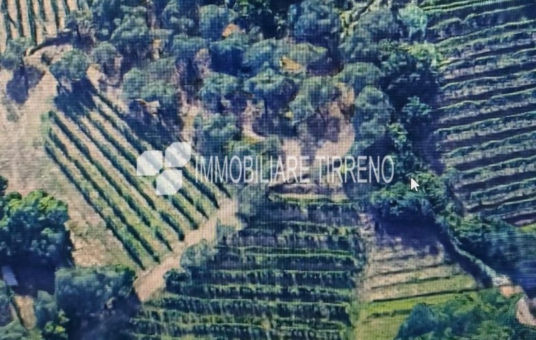 Terreno in vendita a Massa