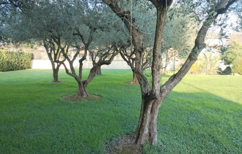 Villa singola in vendita a Massa