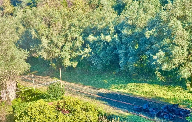 Appartamento in vendita a Massa