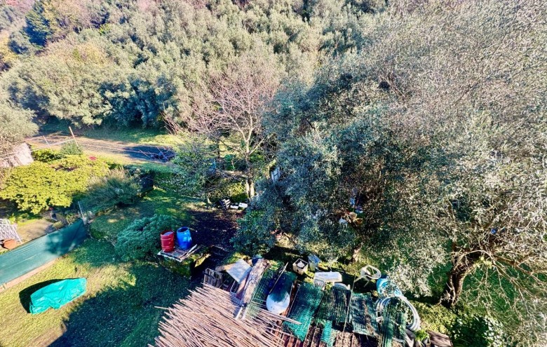 Appartamento in vendita a Massa