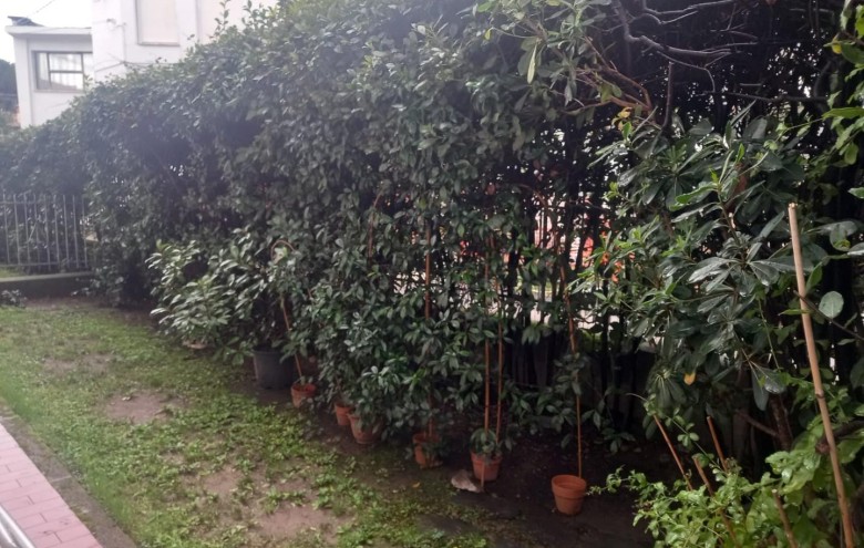 Appartamento in vendita a Massa