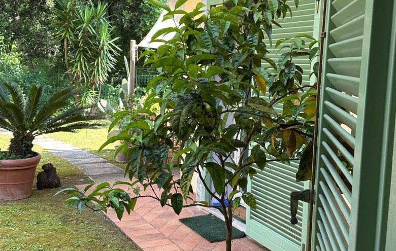 Villetta a schiera in vendita a Massa