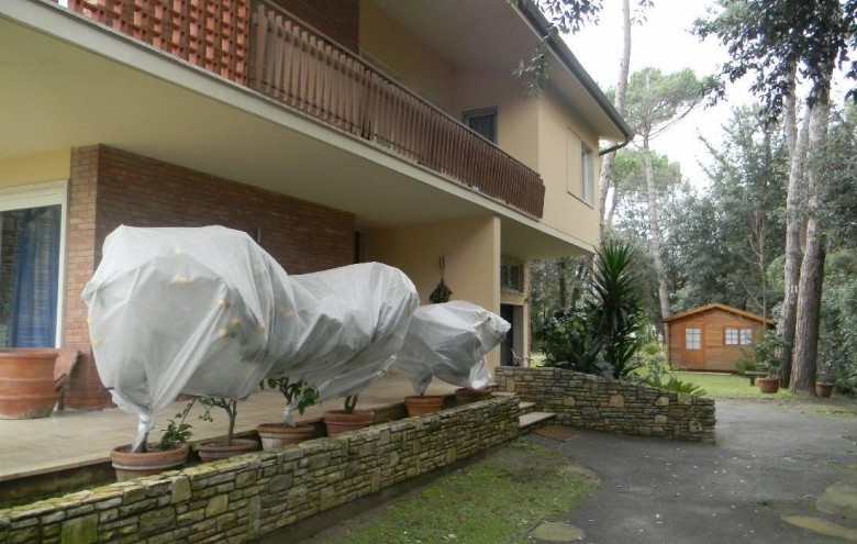 Villa singola in vendita a Pietrasanta