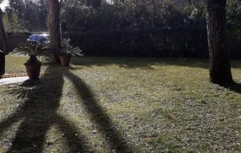 Appartamento in vendita a Massa