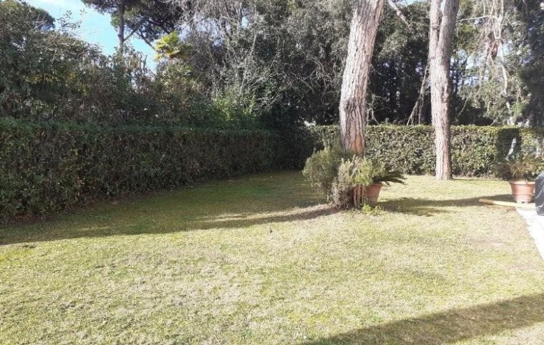 Appartamento in vendita a Massa