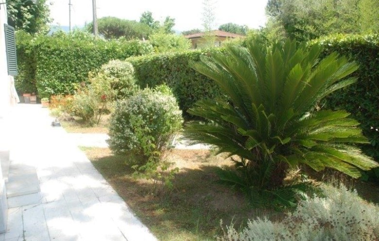 Appartamento in vendita a Massa