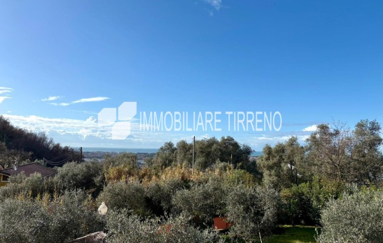 Villa singola in vendita a Massa