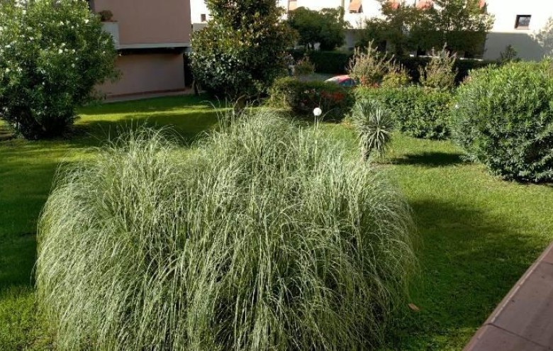 Appartamento in vendita a Carrara