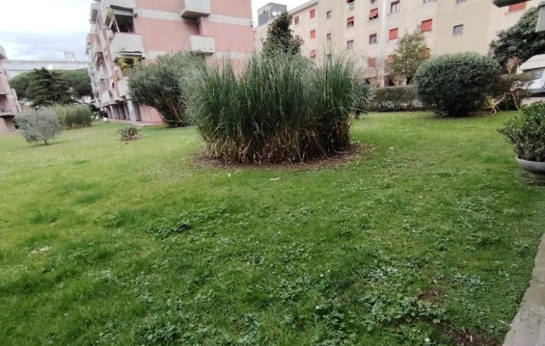 Appartamento in vendita a Carrara