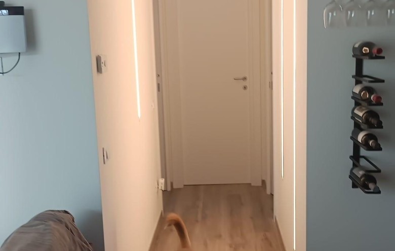 Villa singola in vendita a Massa