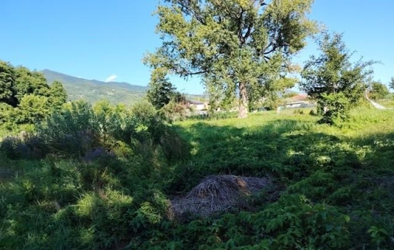 Terreno in vendita a Massa