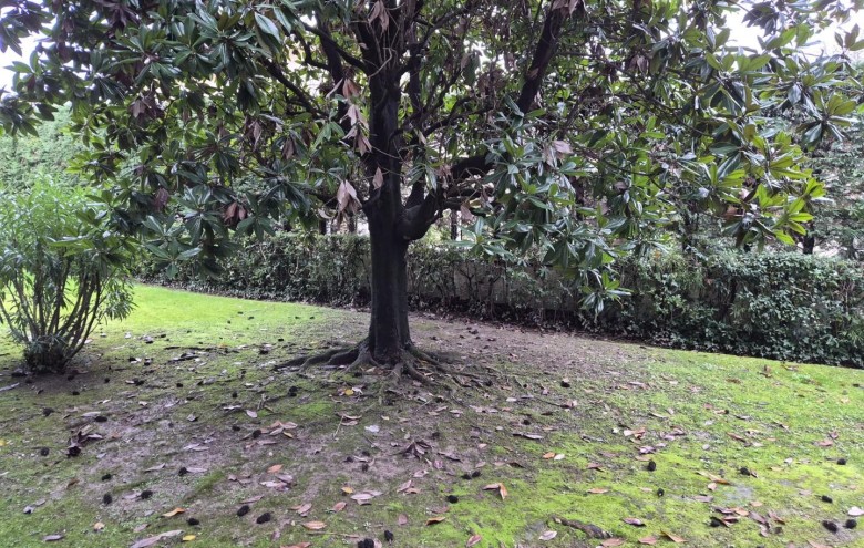 Appartamento in vendita a Massa