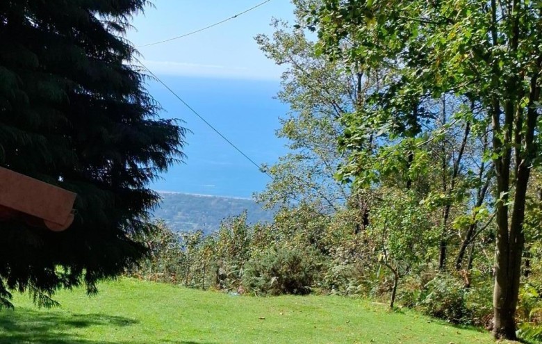 Villa singola in vendita a Montignoso