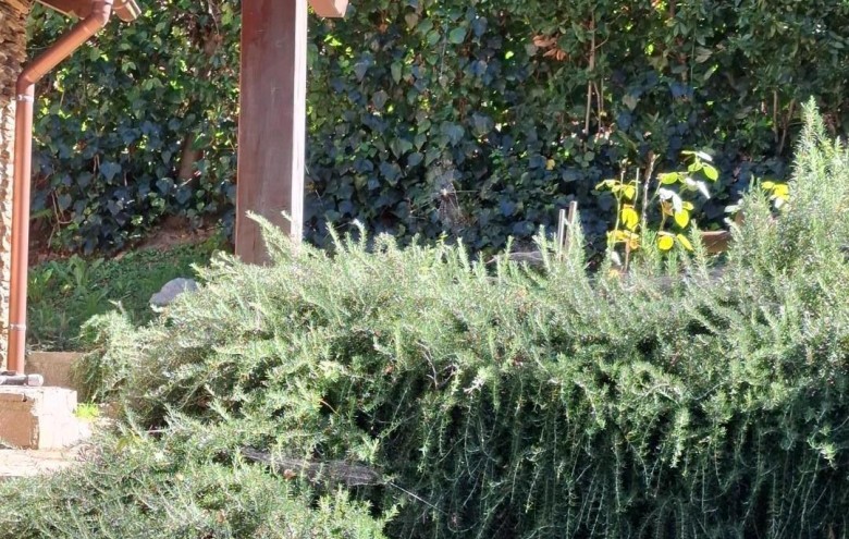 Villa singola in vendita a Montignoso