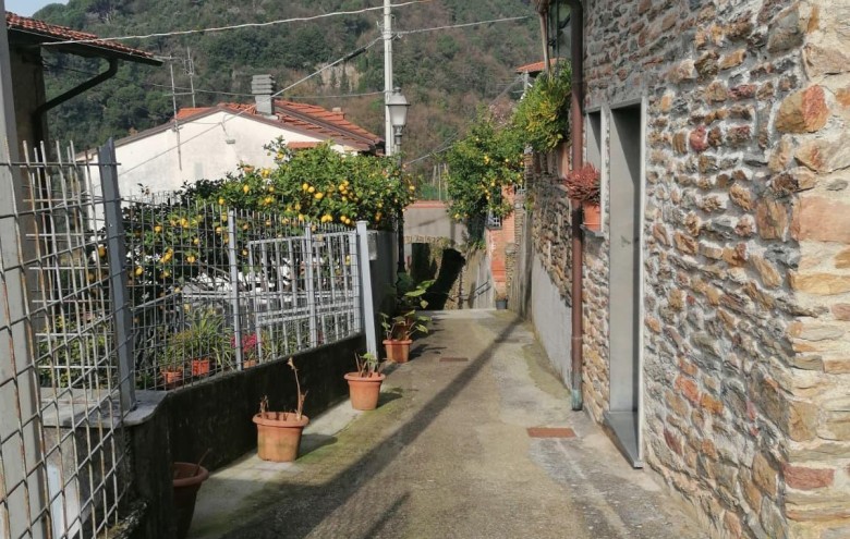 Porzione di casa in vendita a Massa