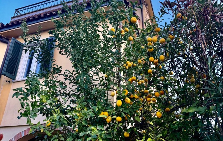 Appartamento in vendita a Massa