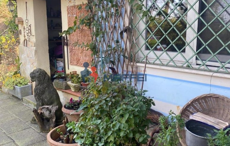 Rustico in vendita a Massarosa