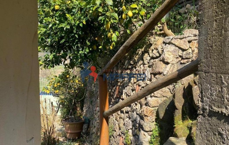 Rustico in vendita a Massarosa