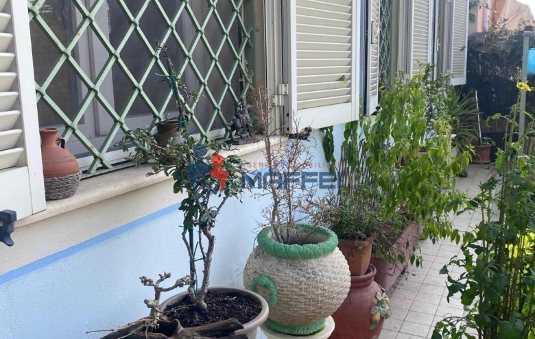 Rustico in vendita a Massarosa