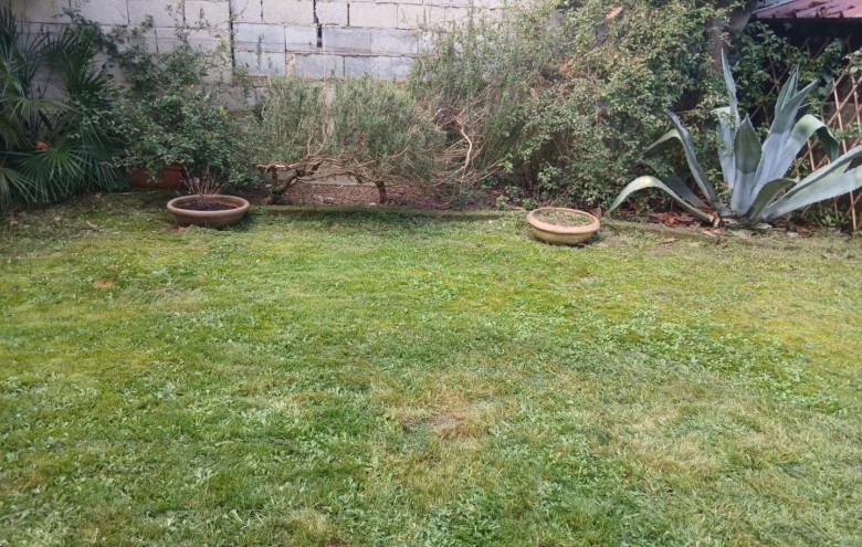 Appartamento in affitto a Massa