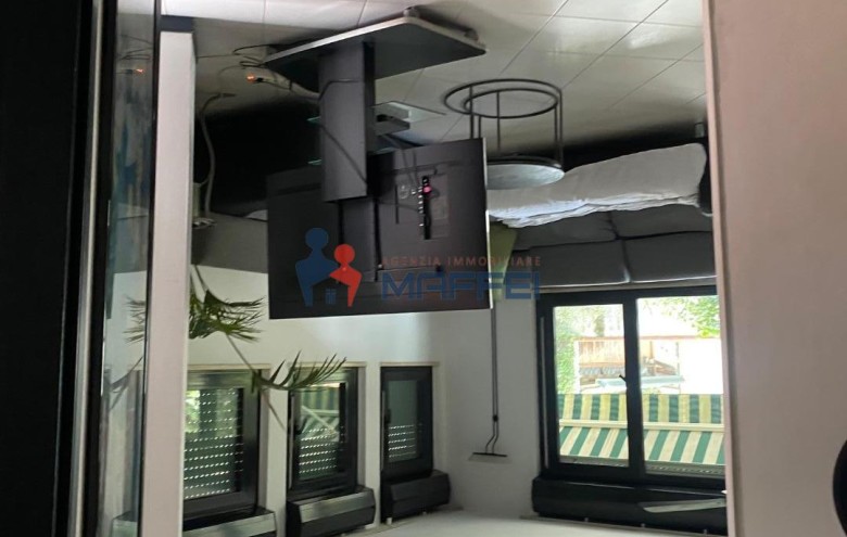 Villa singola in vendita a Viareggio