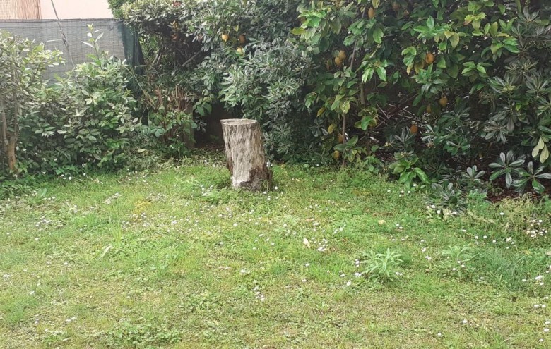 Villa singola in vendita a Massa