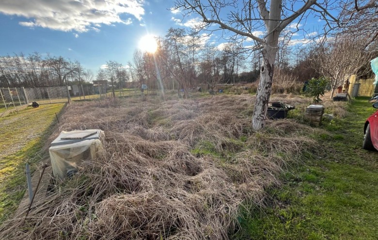 Villa singola in vendita a Montignoso