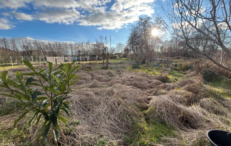 Villa singola in vendita a Montignoso