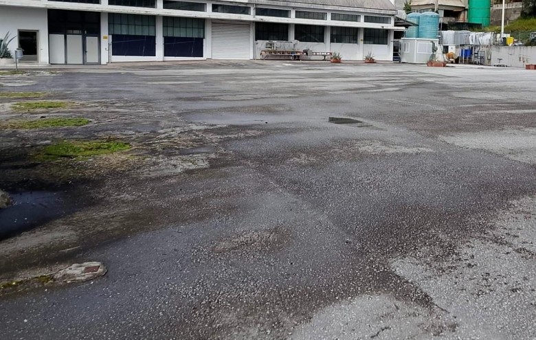 Capannone in vendita a Montignoso