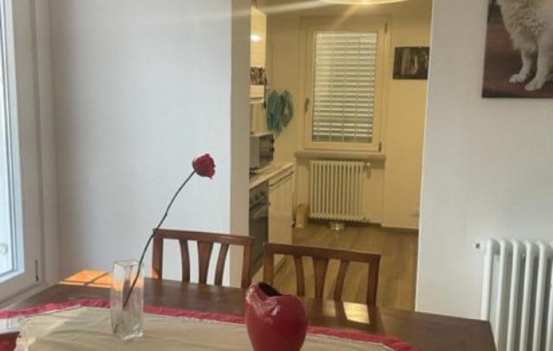 Bifamiliare in affitto a Massa