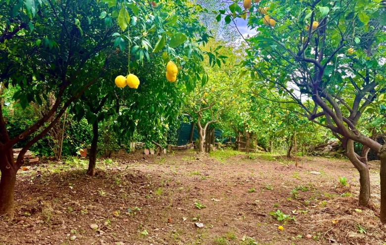 Villa singola in vendita a Massa