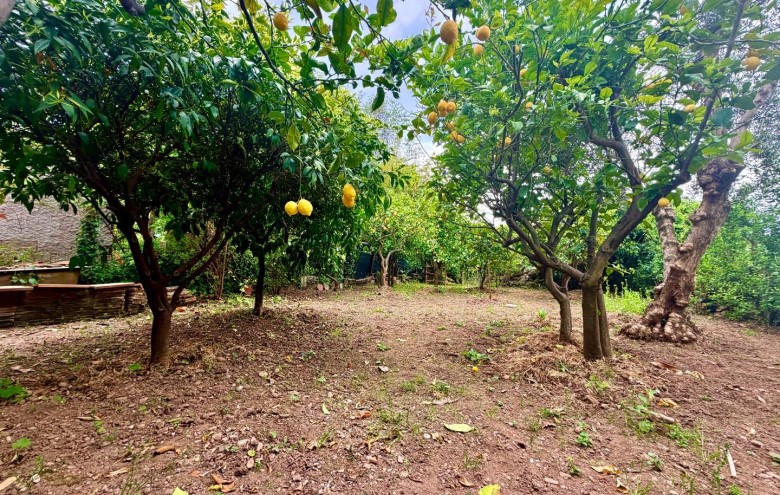 Villa singola in vendita a Massa