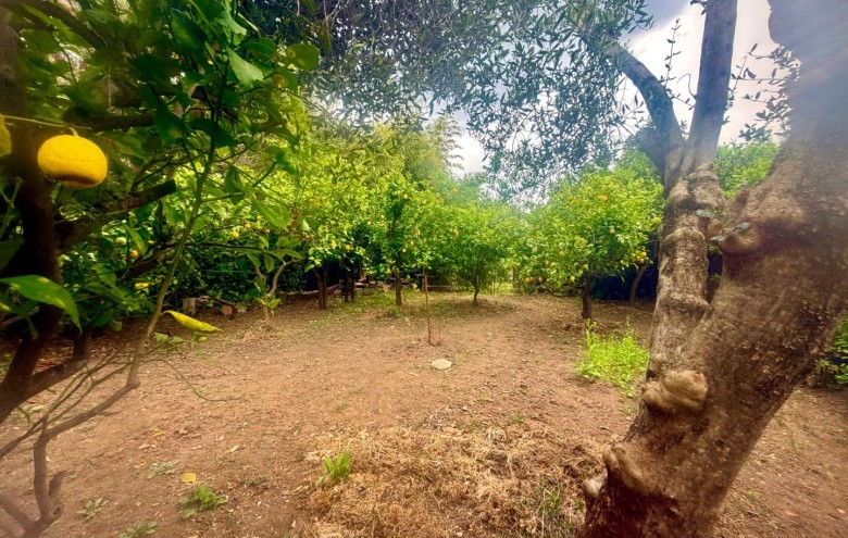 Villa singola in vendita a Massa