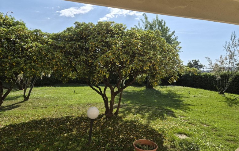 Appartamento in affitto a Massa