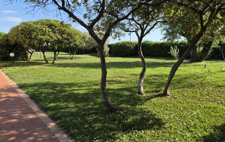 Appartamento in affitto a Massa