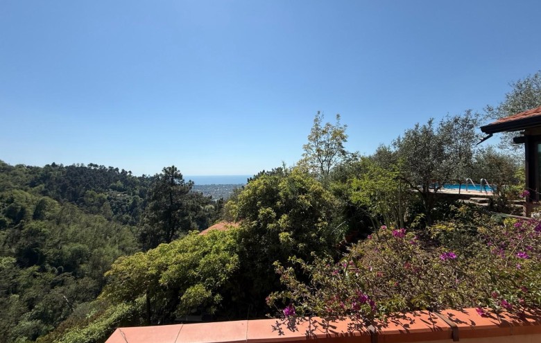 Villa singola in vendita a Massa