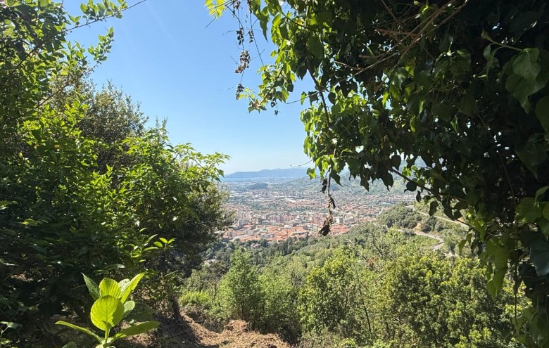 Villa singola in vendita a Massa